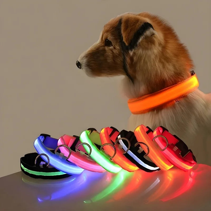Glow Dog Collar - Safety Night Collar