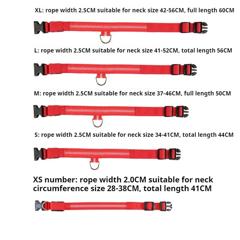 Glow Dog Collar - Safety Night Collar