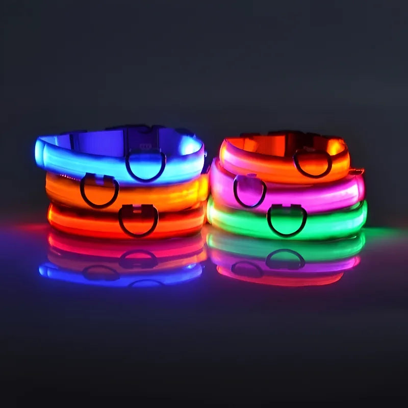Glow Dog Collar - Safety Night Collar