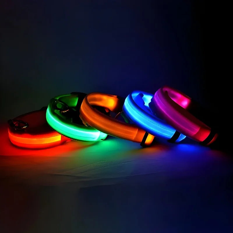 Glow Dog Collar - Safety Night Collar