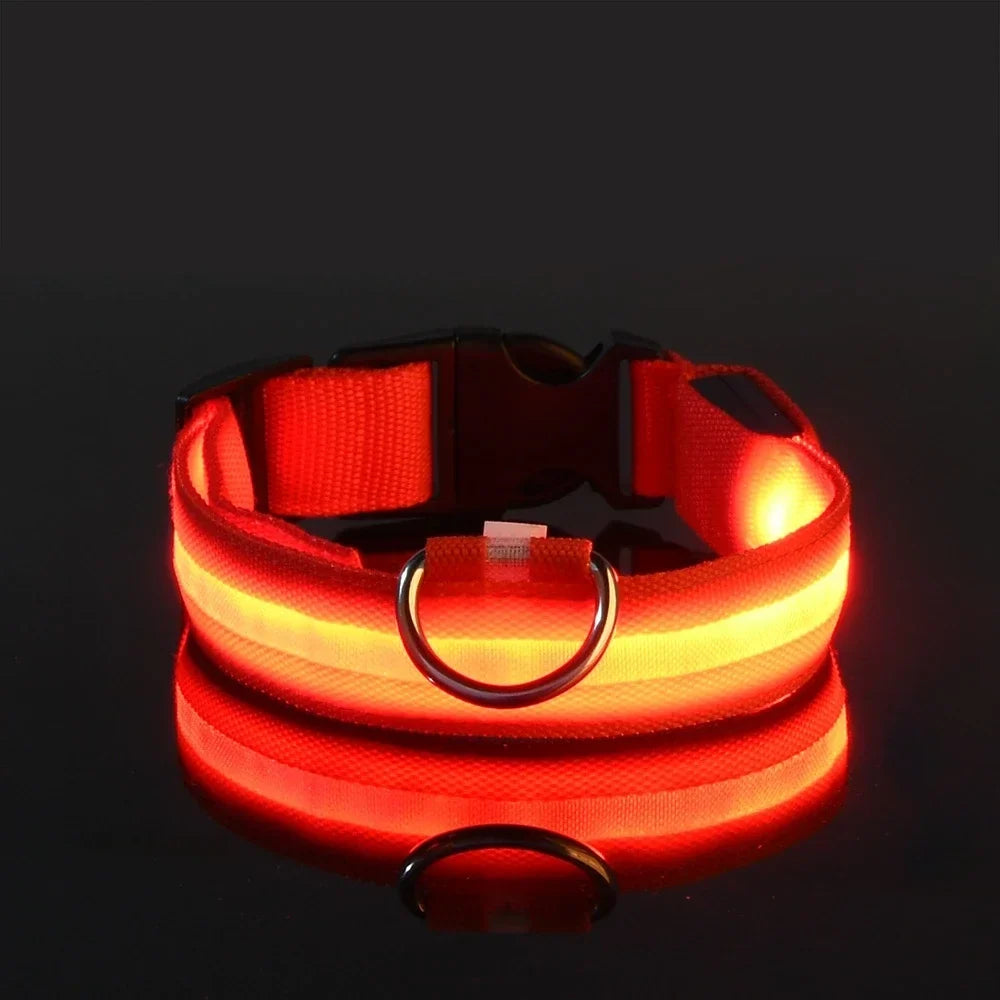 Glow Dog Collar - Safety Night Collar