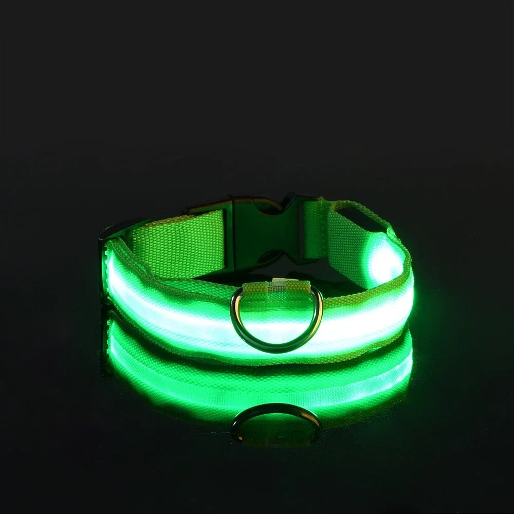 Glow Dog Collar - Safety Night Collar