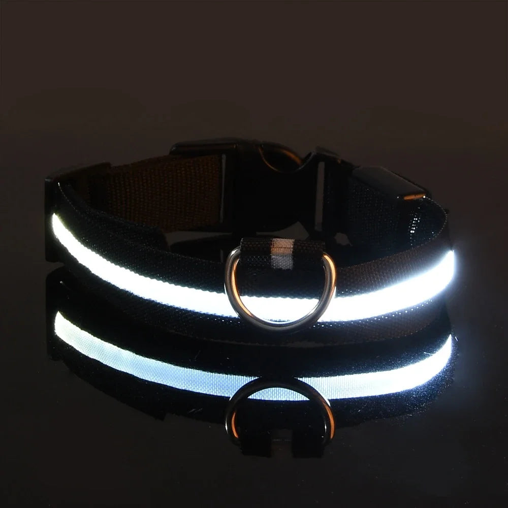 Glow Dog Collar - Safety Night Collar