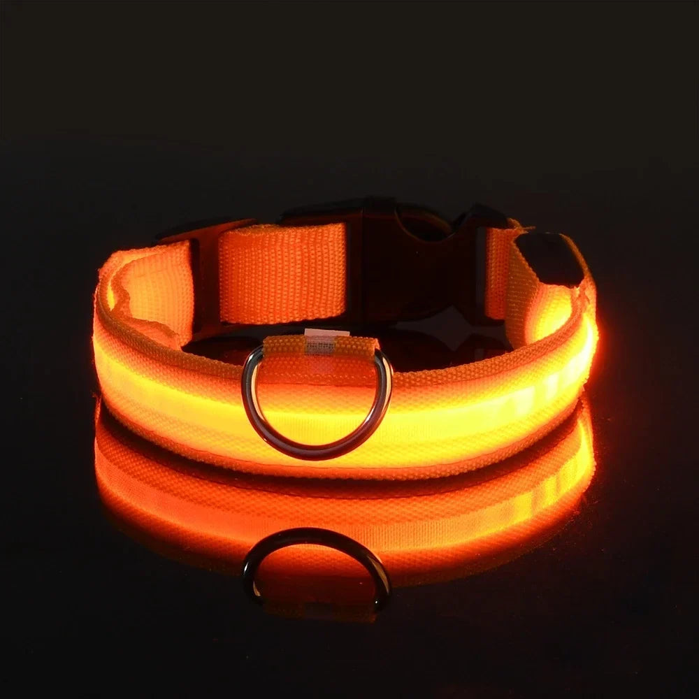 Glow Dog Collar - Safety Night Collar