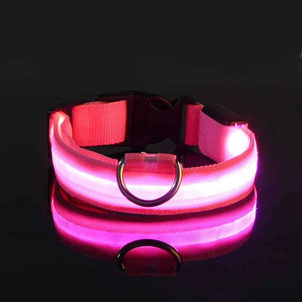 Glow Dog Collar - Safety Night Collar