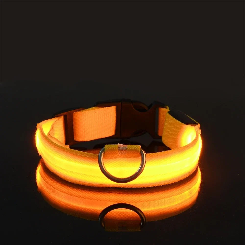 Glow Dog Collar - Safety Night Collar