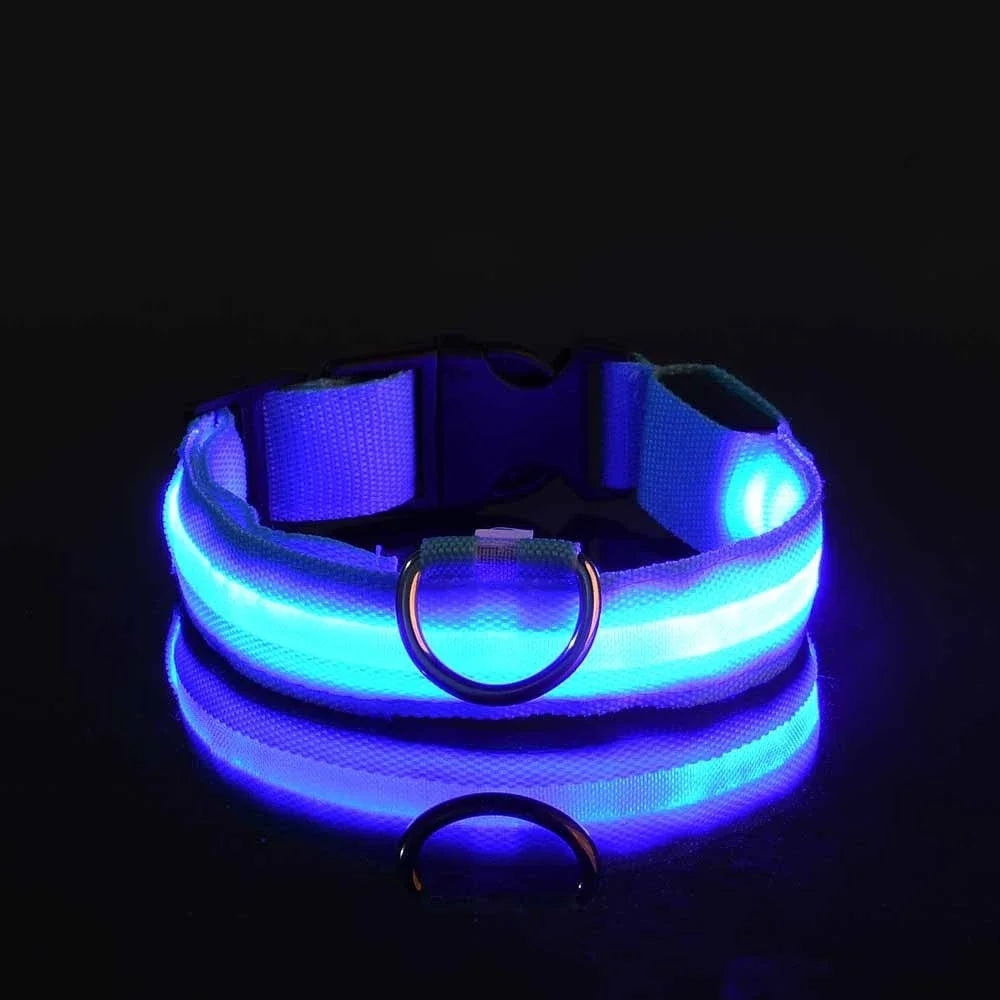 Glow Dog Collar - Safety Night Collar