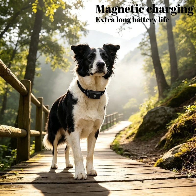 ZOQVani™ Smart GPS Trackable Dog Collar
